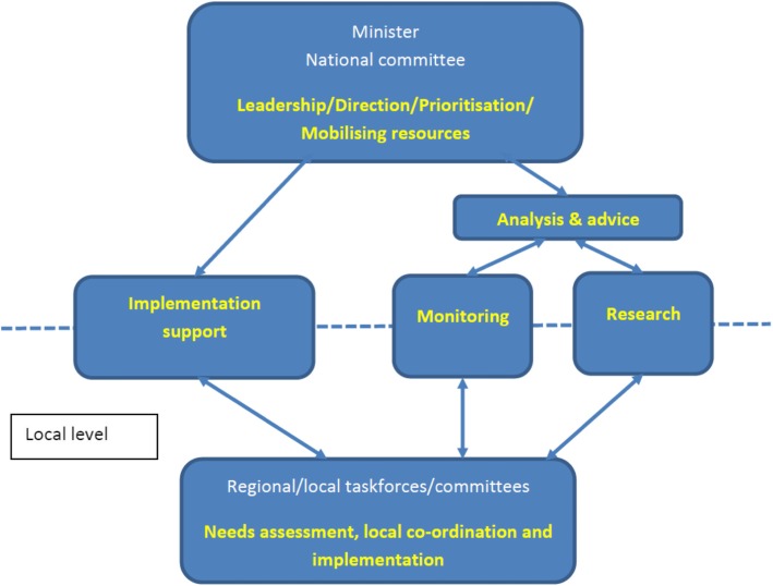 Proposed structure for the national drug strategy as depicted by the expert rapid review