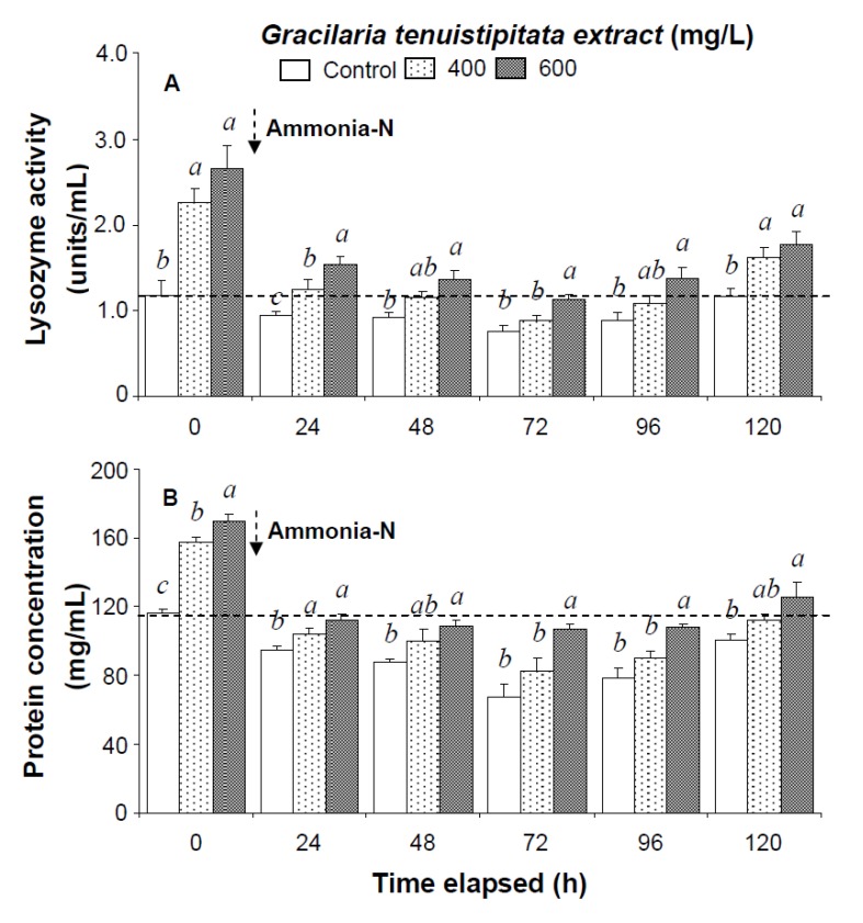(A) Lysozyme activity and (B) hemolymph protein level of white shrimp Litopenaeus vannamei immersed in seawater containing Gracilaria tenuistipitata extract at 0 (control), 400, and 600 mg/L for 3 h and then exposed to 5 mg/L ammonia-N for 24, 48, 72, 96, and 120 h. Data (mean ± SE) with different letters are significantly different (p < 0.05) among treatments.