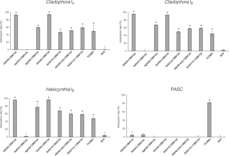 Comparative analysis of adsorption properties on native crystalline celluloses and artificial amorphous cellulose. The amounts of protein adsorbed on various celluloses were measured after adding 1 μM protein. Each CBM104 and CBM1 was fused with RFP. RFP and TrCBM1 were used as controls. Error bars represent the standard error (n = 3). Asterisks (*) indicate samples differ significantly from RFP, as determined by a t-test (p < 0.05).