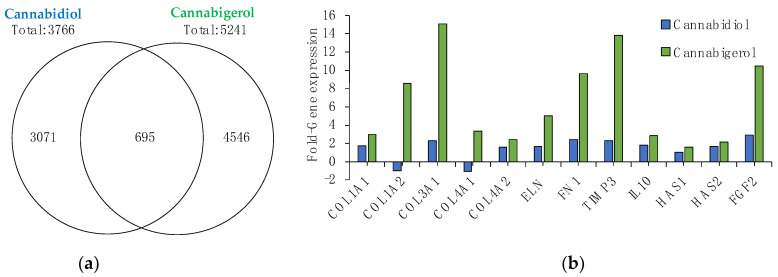 Gene microarray analysis of CBG and CBD. (a) Gene differential expression was quantified using Clariom™ S assay microarray system method after 24 h incubation in 3D skin model EpiDerm-FT™. (b) Data subset of gene expression related to skin. Data represent mean from n = 3 tissues. All genes shown were significantly different (p value < 0.05) relative to vehicle-only treated tissues.