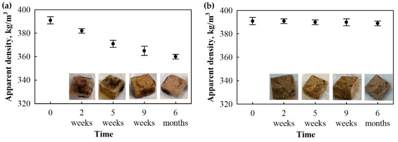 BcB samples after incubation of P. putida and Rh. oryzae mix at 22 °C temperature and 65% relative air humidity conditions for 6 months: (a) F composition, (b) G composition. All measurements were performed in triplicates, and the average values and standard deviations are shown.