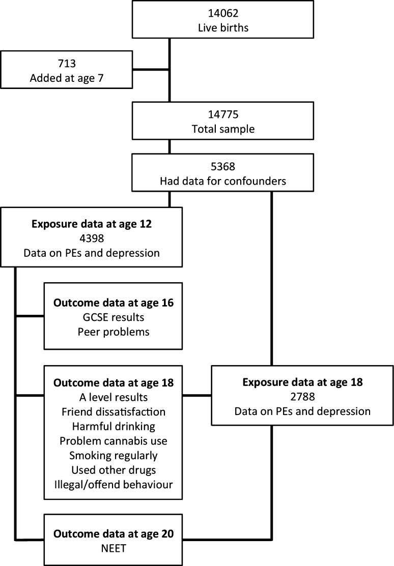 Flow chart of cohort and study participants
