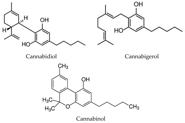 The structure of the selected compounds present in cannabis.