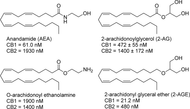 Structures and CB receptor affinities of major endocannabinoids.