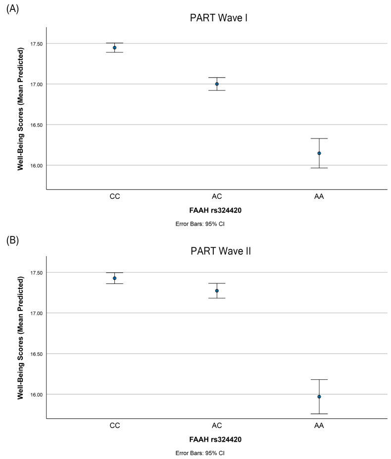 Reduced FAAH activity is associated with lower subjective well-being. The A-allele of rs324420, which encodes threonine, is known to reduce FAAH expression and activity. The linear regression analyses conducted on subjective well-being against rs324420 revealed that well-being scores were significantly lower in A-homozygotes compared to C-homozygotes (Table 3). The graph illustrates the relationship between the three genotype groups of rs324420 and their respective predicted well-being scores in (A) PART Wave I and in (B) PART Wave II, calculated using coefficients from the regressions adjusted for age and sex. The error bars represent the 95% confidence intervals (CI).