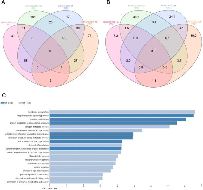 Comparative and functional analysis of genes affected by CBD addition in at least two of the above CBD/ethanol treatments. A Venn diagram for genes affected by different CBD/ethanol dosages and times of incubation; B Venn diagram for genes affected by different CBD/ethanol dosages and times of incubation—percentage share; C overrepresentation analysis (ORA) in GO biological processes for genes common to at least two CBD/ethanol treatments