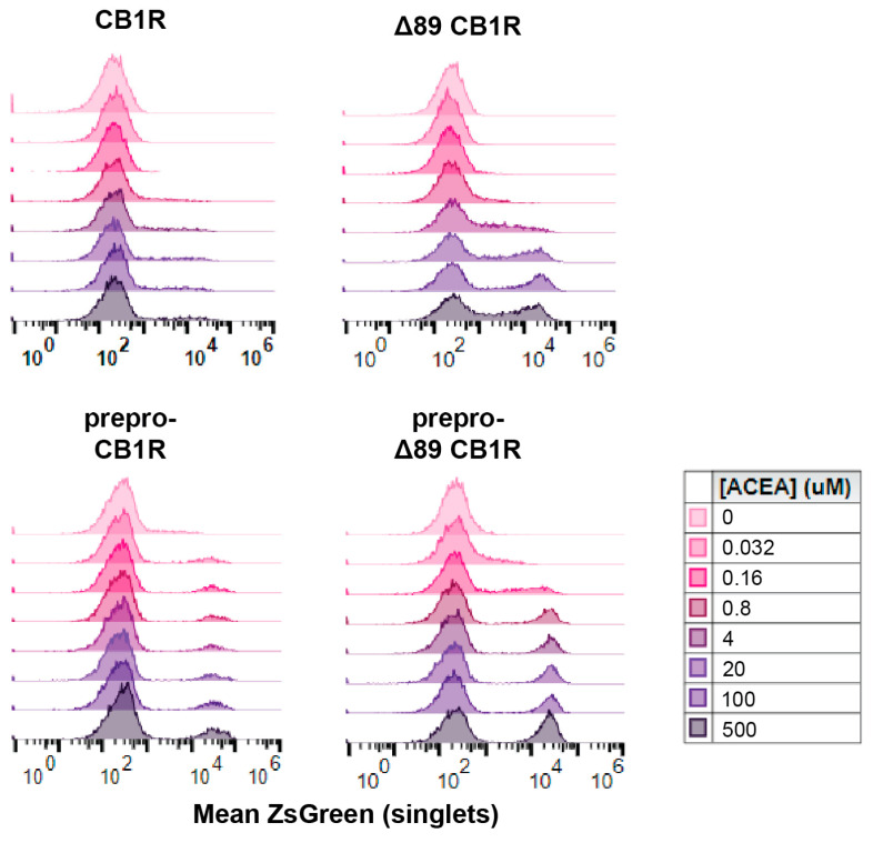 Cytometry of CB1R variants in yeast. WT CBR1, Δ89 N-terminally truncated CB1R, synthetic pre-pro CB1R, and Δ89 synthetic pre-pro CB1R were measured in a dose response with ACEA. One representative replicate is shown with 10,000 events each.