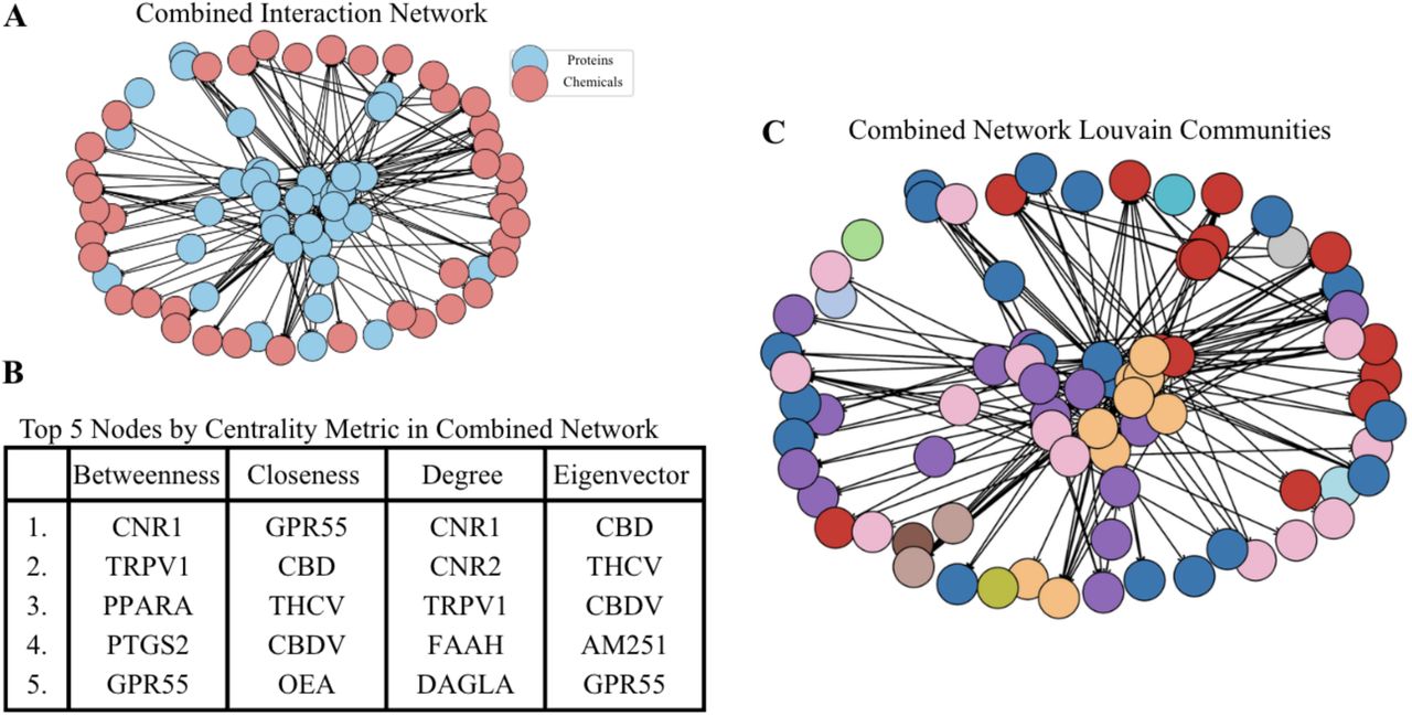Combined interaction network and node characterization.A) Visualization of the integrated network showing proteins (blue) and chemicals (red) connected through documented interactions. The network has 80 nodes and 218 edges. B) Top five nodes ranked by centrality measures in the combined network. Results highlight distinct sets of influential nodes across betweenness, closeness, degree, and eigenvector centrality metrics, underscoring multiple dimensions of node importance. Full rankings and centrality metric calculations can be found at https://github.com/aanyashridhar/ECS-Network. C) Louvain community detection applied to the combined network, partitioning the nodes (denoted by distinct colors) into modular clusters based on interaction density, which highlights potential functional or mechanistic groupings within the ECS network.