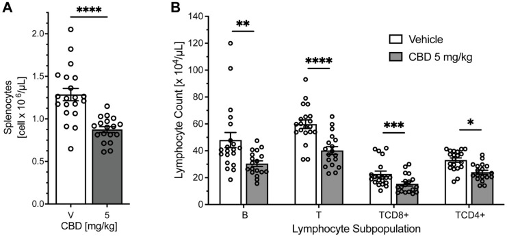 Figures depict a study of decreased splenocyte and lymphocyte numbers after CBD treatment in rats. Groups treated with CBD show significant reductions in all lymphocyte types.