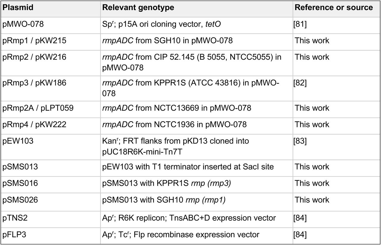 Plasmids used in this study.