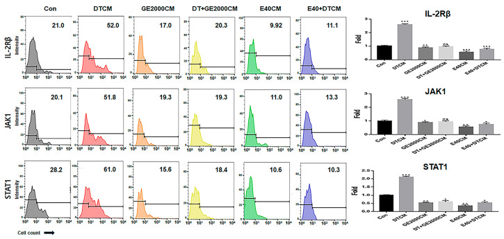 The expression of alopecia-activating markers in T cells under various conditioned media. The results for the expression of alopecia activators in CD8+ T cells exposed to various supernatants from HFDPSCs under different conditions (Con, control; DT, dihydrotestosterone; GE2000, germinated hemp seed extract 2000 µg/mL; DT+GE2000, DT 1 ng/mL after exposure to GE2000; E40, induced exosomes 40 μg/mL derived from the calli of germinated hemp seeds; E40+DT, DT1 after exposure to E40). These histograms are derived from the CD8+ population flow cytometry results. CM, conditioned medium; ns, not significant; (* p < 0.05; ** p < 0.01; *** p < 0.001).