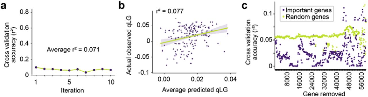 Prediction of the hippocampal qLG using ten separate 10-fold cross-validated LASSO-PCR models based on transcriptomic data, with a feature deconstructing process to explain gene importance.