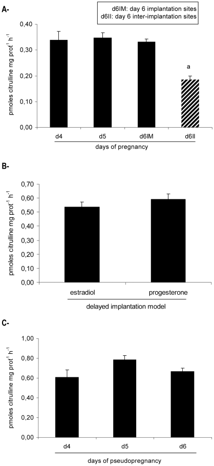 NOS activity in the rat uterus during peri-implantation.NOS activity was determined (A) on days 4 (d4), 5 (d5) and 6 of gestation (implantation (d6IM) and inter-implantation sites (d6II) were assessed separately on day 6 of pregnancy), (B) in the delayed implantation model and (C) during pseudopregnancy (psp). NOS activity is expressed as pmoles citrulline mg prot−1 h−1. a: p<0,001 vs the rest. N = 4–6 for each point. d4: day 4, d5: day 5, d6: day 6, IM: implantation sites, II: inter-implantation sites.