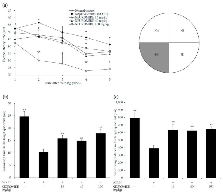 Neuroprotective effect of NEUROMIDE on SCOP-induced memory impairment in the Morris water maze task, as determined according to (a) escape latency time after five-day acquisition trial; (b) swimming time spent in the target SW quadrant on day 6; (c) swimming distance in the SW quadrant on day 6. SCOP: scopolamine. The values are means + SE, n = 7. Significant difference based on comparison with the group treated with scopolamine only, as determined by independent t-test: * p < 0.05, ** p < 0.01.