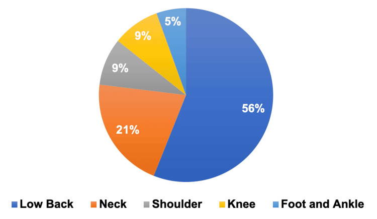 Orthopedic conditionsBreakdown of orthopedic conditions for patients seeking medical cannabis certification: low back pain (n = 51), neck pain (n = 19), shoulder pain (n = 8), knee pain (n = 8), and foot and ankle pain (n = 5).