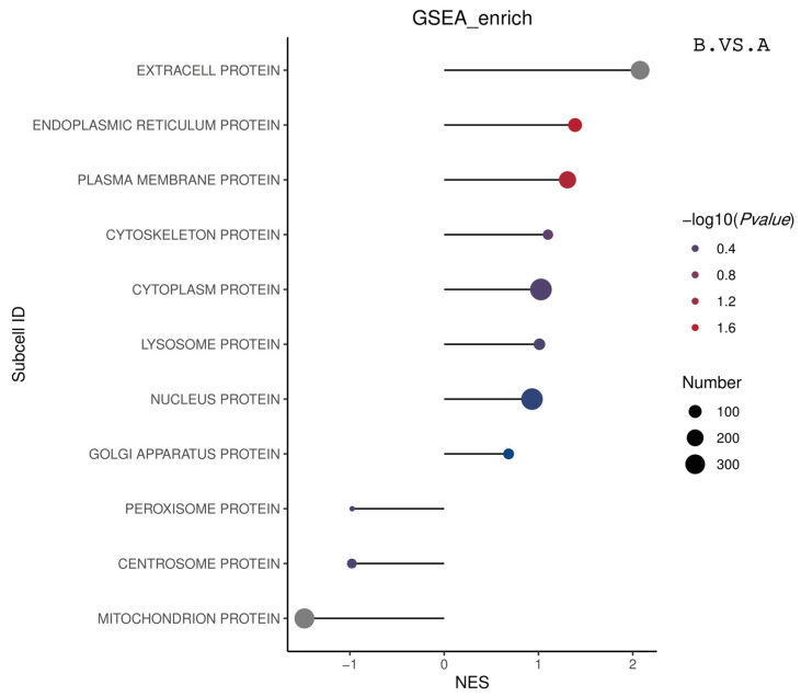 Matchstick plot of the overall GSEA-subcellular ES enrichment results. The horizontal coordinate in the graph is the NES value. The larger the |NES| value, the higher the degree of differential protein enrichment in the entry. The color of the dots represents −log10 (p value). The p value refers to the nominal p value in GSEA. The redder the color, the larger the −log10 (p value), while the smaller the p value, the larger the reliability of the test and the more statistically significant the test is. The gray color represents the subcellular entries with a p value of 0, the actual p value is extremely small and cannot be accurately obtained. The size of the dots represents the number of differential proteins in the corresponding entries, The larger the dots, the higher the number of differential proteins in the subcellular entries.