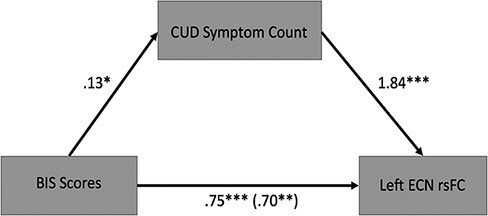 Mediation model.