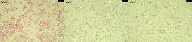 Microstructure of artificial oleosomes (AOs) stabilized by hemp seed oil body proteins (OBPs). AOs-S: AOs fabricated by high-speed shearing; AOs-P: AOs fabricated by high-pressure homogenization; AOs-U: AOs fabricated by ultrasonication.