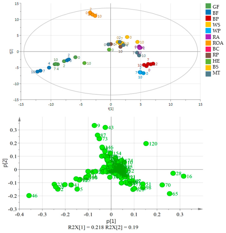 PCA and the loading plot of analyzed oils (except for BC) stored at 60 °C for 0, 2, 4, 7 and 10 days. On the loading plot compounds responsible for differentiation are placed far from the plot center. 2—propanal, 9—2-methyl butanal, 16—pentanal, 20—3-thujene, 23—1-propanol, 28—hexanal, 120—acetic acid, 43—1-methyl-1H-pyrrole, 46—1-penten-3-ol, 51—2-heptanone, 65—2-pentyl furan, 70—1-pentanol, 73—methyl pyrazine, 74—trans-β-ocimene, 87—2,3-dimethyl pyrazine. Sample coding as in Table S3.
