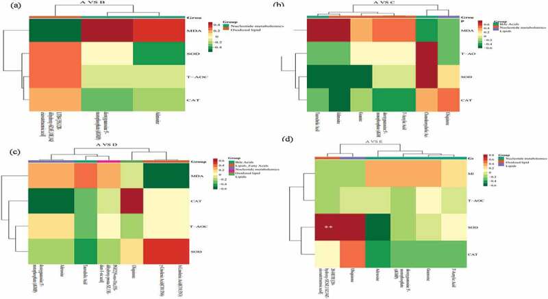The correlation between metabolomics and blood antioxidant indicators during control A and treatment B (Figure 6a), C (Figure 6b), D (Figure 6c), and E (Figure 6d). A: dietary supplements 0% hemp oil in teddy dog (as control), B: dietary supplements 0.5% hemp oil in teddy dog, C: dietary supplements 1% hemp oil in teddy dog, D: dietary supplements 2% hemp oil in teddy dog and E: dietary supplements 4% hemp oil in teddy dog.
