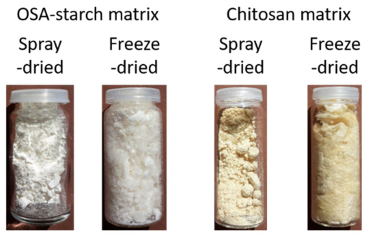 Pictures of THC-loaded particles.