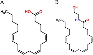 2D structures of substrates. (A) Arachidonic acid. (B) Anandamide.