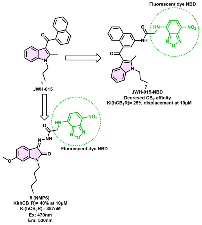 Indole-based CB2R fluorescent probe.