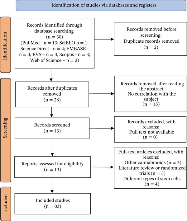 PRISMA‐ScR flowchart visually represents how records were retrieved across databases, screened, excluded, and ultimately included in the final synthesis.