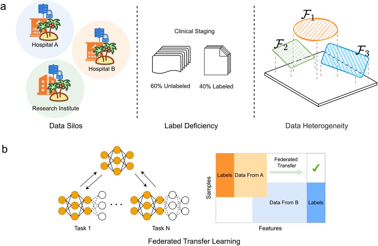 Challenges in medical data fusion and the role of federated transfer learning (FTL). (a) Major challenges: data silos, label deficiency, and data heterogeneity. (b) FTL addresses minimal overlap in feature and sample spaces across institutions, enabling collaborative training while preserving data privacy.