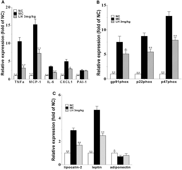 Impact of LH-21 on gene expression in adipose tissue in KKAy mice. mRNA expression of pro-inflammatory cytokines (A), NADPH oxidase components (B), and adipokines (C). Results are normalized to β-actin in the correspondent group, and expressed as relative expression compared with that in the NC group. NC, normal control; MC, model control; LH, LH-21. Values are mean ± SD. n = 3; *p < 0.05, **p < 0.01 vs. MC group.
