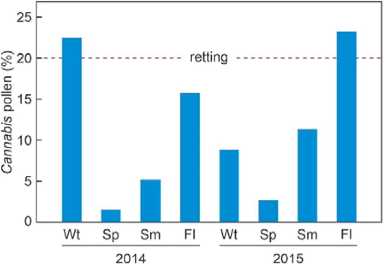 Seasonal distribution of sedimentary Cannabis pollen in Lake Montcortès during 2014 and 2015 (Rull et al., 2017). The hemp retting threshold (20%) is indicated by a red dashed line. Wt. winter; Sp, spring; Sm, summer; Fl, fall.