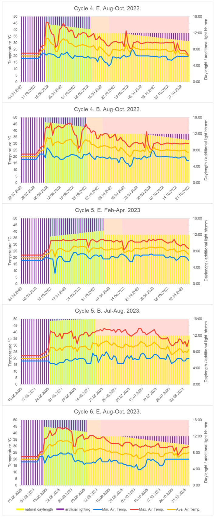 Natural daylength, additional artificial lightning, and air temperature records under rapid generation cycling (Cycle-4, -5, -6). ‘E’ represents the medium-late-maturing selected family, while ‘B’ refers to the early selection.