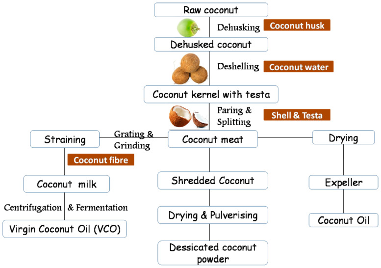 Stepwise procedure for extracting fibers and other products from coconut (adapted from [47]).