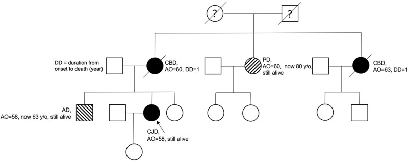 Pedigree of a Chinese genetic CJD case.