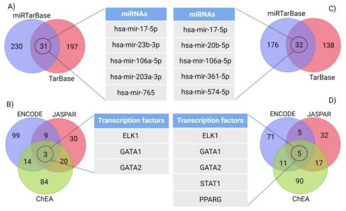 Transcription factors and miRNAs analyses. (A,B) results represent Venn diagram analysis for the top five miRNAs and the three TFs that interact with the robust DEGs of the GABAergic synapse pathway. (C,D) show Venn diagram analysis and the top five miRNAs and the TFs interacting with the robust DEGs involved in retrograde endocannabinoid signaling.