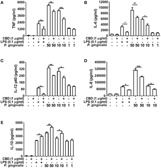 Phytocannabinoids alter the monocytic cytokine release profile in response to oral bacteria. Control and CBD (2 h) pre-exposed monocytes were stimulated, or not, with LPS or P. gingivalis and cytokine [(A) TNF, (B) IL-6, (C) IL-12 p40, (D) IL-8, (E) IL-10] release measured in 20 h cell-free supernatants by ELISA. Similar data was found upon F. alocis and T. denticola stimulation (data not shown). Similar phenomenon were also apparent with two the other phytocannabinoids tested, CBN and THC (data not shown). Data represent the mean ± SD of three biological replicates with paired data-points analyzed by t-test. */**/***p ≤ 0.05/0.01/0.001.