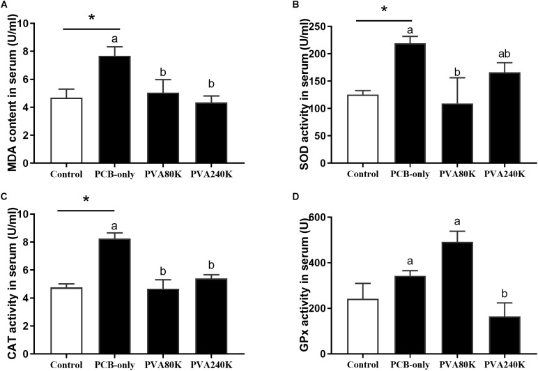 Effects of the vitamin A on the Aroclor 1254-mediated lipid peroxidation (malondialdehyde MDA) (A) and activities of superoxide dismutase (SOD) (B), catalase (CAT) (C), and Glutathione peroxidase (GPx) (D) of serum from three individuals (n = 3); blank bar (diet without PCB), dark bar (diets with PCB). ∗p < 0.05. Data shown as means ± SEM.