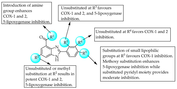 SARs of 2-phenyl-substituted benzimidazoles.