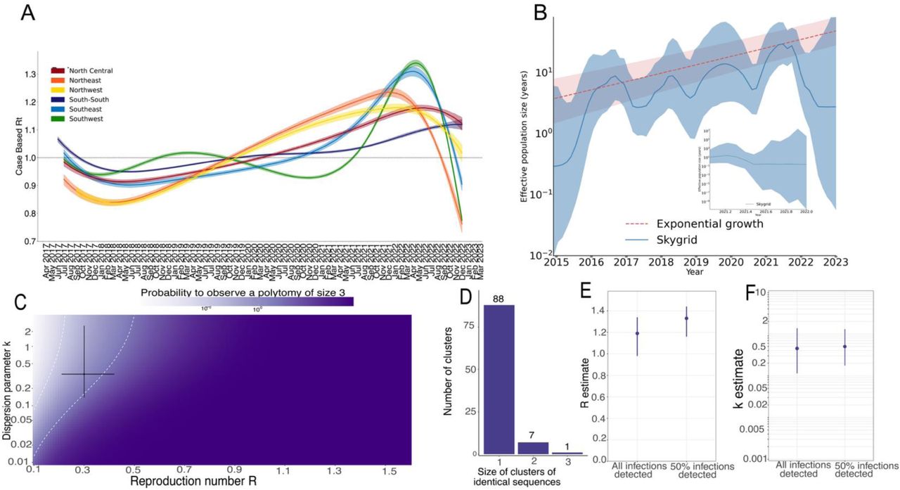 Epidemiological and genomic characterization of Mpox transmission dynamics in Nigeria.(A) Estimated reproductive number (Rt) over time, delineating two epidemic phases: initial phase (2017–2018) with Rt < 1, and second phase (2021–2022) with Rt > 1. (B) Coalescent reconstruction of the viral effective population size (Nₑ) using a Skygrid model, highlighting transient viral population growth from 2015 to 2017 preceding official case reports, followed by exponential growth during 2021–2022. C) Model-derived heatmap illustrating the probability of observing specific cluster sizes based on maximum-likelihood estimates of reproduction number (R≈0.4, 95% CI: 0.3–0.6) and dispersion parameter (k≈0.3, 95% CI: 0.1–0.5). The moderate probability (10–50%) of observing clusters of size three aligns closely with empirical data. (D-F) Distribution of cluster sizes from 105 genomic sequences collected during the second epidemic phase, revealing predominantly singleton clusters (average cluster size = 1.1)