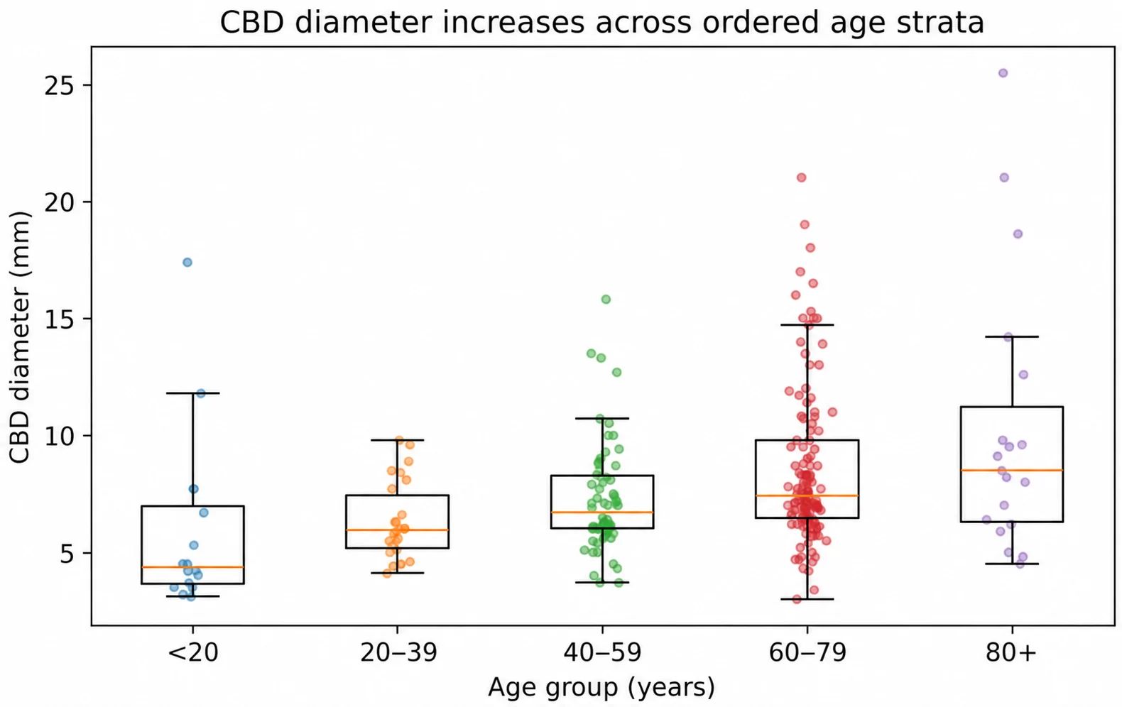 CBD diameter across ordered age groups.