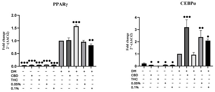 Gene expression. mRNA levels of adipogenic gene (PPARγ and CEBPα) were investigated by quantitative RT-PCR after 72 h of culturing in CBD, THC, 0.05% HSO, or 0.1% HSO treatments with/without DM; the mean ± SD are shown compared to the DM control; ANOVA as * p ≤ 0.05, ** p ≤ 0.01, *** p ≤ 0.001.