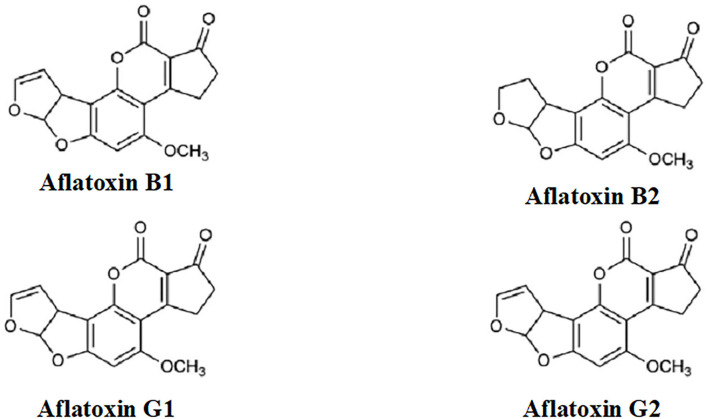 Structures of aflatoxins.