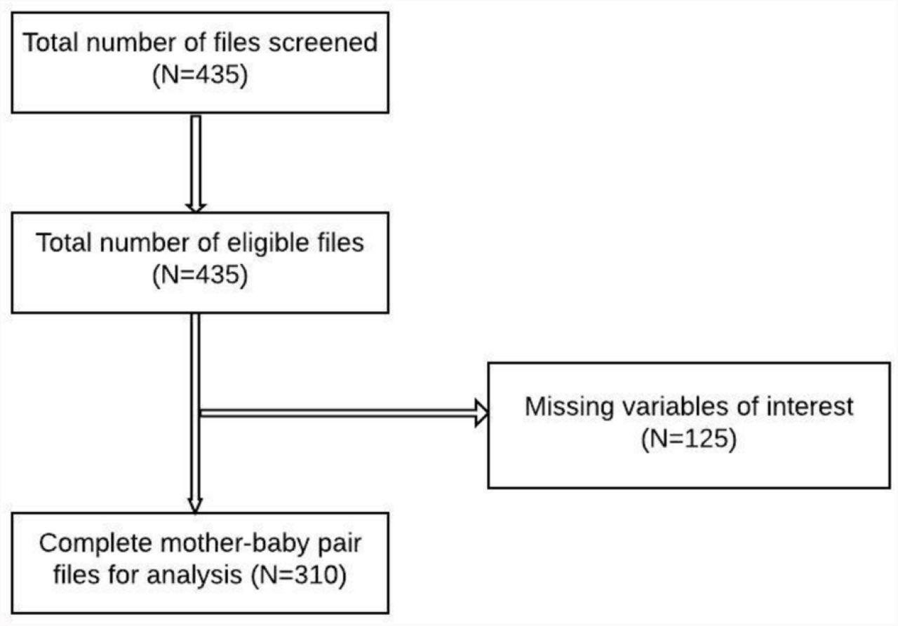 Flow chart on selection of study mother-infant pair files