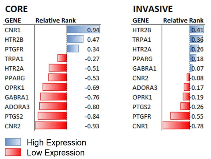 The relative expression levels of candidate targets for AM630 in the core and invasive cell populations. Genes that are reported as off-target for AM630 are expressed at different levels in the two cell populations with the CB1 receptor (CNR1) showing the highest expression in the core cells, indicating that the dominant activity elicited by AM630 in this population will most likely be mediated through this receptor, shown at left. In contrast, the invasive margin cells do not have conspicuously high CNR1 expression, shown at right. Only the 5-HT serotonin receptor HTR2B is upregulated in both populations, suggesting that a shared activity of AM630 might involve serotonin receptor antagonism. See Table S1 for the full rank profiles for the U87 and GIN-8 cells.