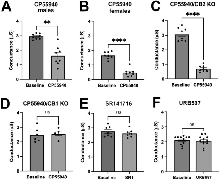 Cannabinoid receptor agonist effects on galvanic skin response. (A, B) Cannabinoid‐receptor agonist CP55940 (0.5 mg/kg, IP) reduces the galvanic skin response (GSR) in male (A) and female (B) mice. (C, D) CP55940 effects are seen in CB2 receptor but not CB1 receptor knockout mice. (E, F) CB1 receptor antagonist SR141716 (4 mg/kg, IP) and FAAH blocker URB597 (4 mg/kg, IP) each have no effect on GSR. **p < 0.01, ****p < 0.001 by paired t‐test vs. own baseline.
