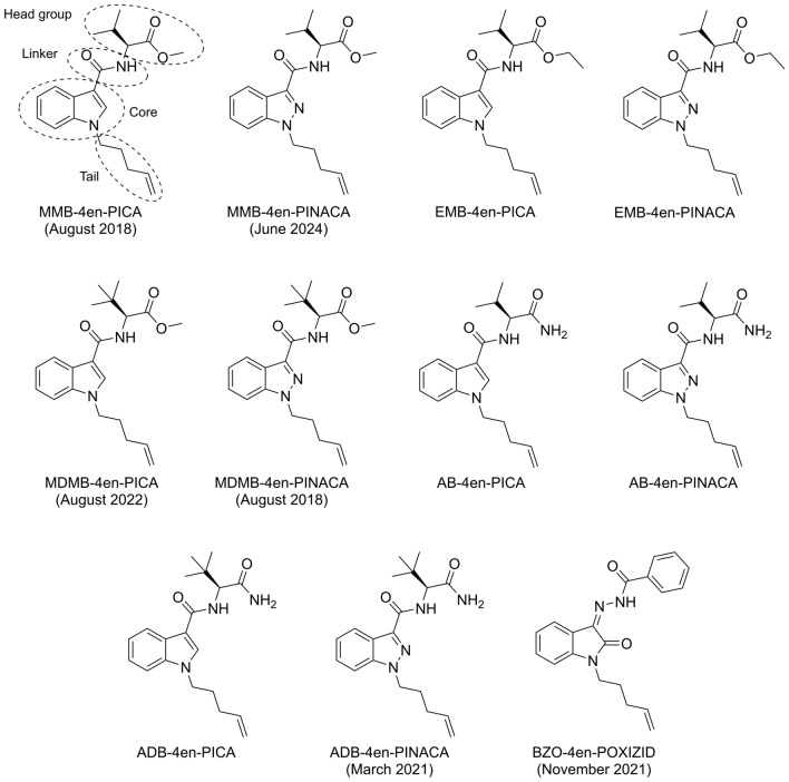 Structures of the amino acid-derived and OXIZID 4-pentenyl SCRAs investigated in this study (with the date that a detection on the illicit drug market was first reported, where applicable)