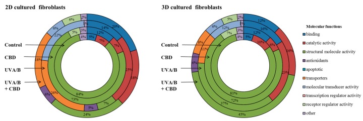 The molecular functions of proteins modified by lipid peroxidation products (malondialdehyde (MDA), 4-hydroxynonenal (4-HNE), acrolein) adducts formation in fibroblasts irradiated with UVA (20 J/cm2) and UVB (200 mJ/cm2) or/and treated with cannabidiol (CBD, 4 µM) in two-dimensional (2D) or three-dimensional (3D) culture model.