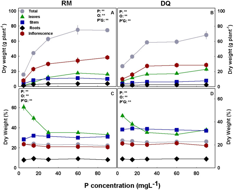 Effect of P nutrition on biomass of the root and shoot organs in mature medical cannabis plants. Dry weight (A,B) and percentage of dry weight (C,D) of leaves, stems, roots, inflorescences, and total plant of two medical cannabis cultivars, RM (A,C) and DQ (B,D). Presented data are averages ± SD (n = 6). Results of two-way ANOVA indicated as **P < 0.05, F-test; NS, not significant P > 0.05, F-test. In the ANOVA results, P, phosphorus; G, genotype; and P*G, the interaction between P and G.