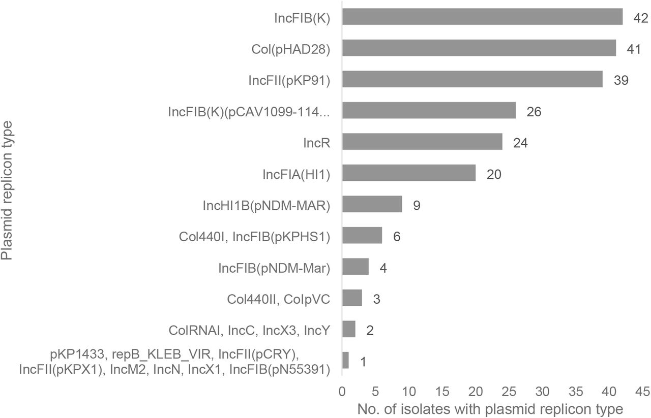 The types and number of plasmid replicons identified in the Kenyan K. pneumoniae isolates (N=89)