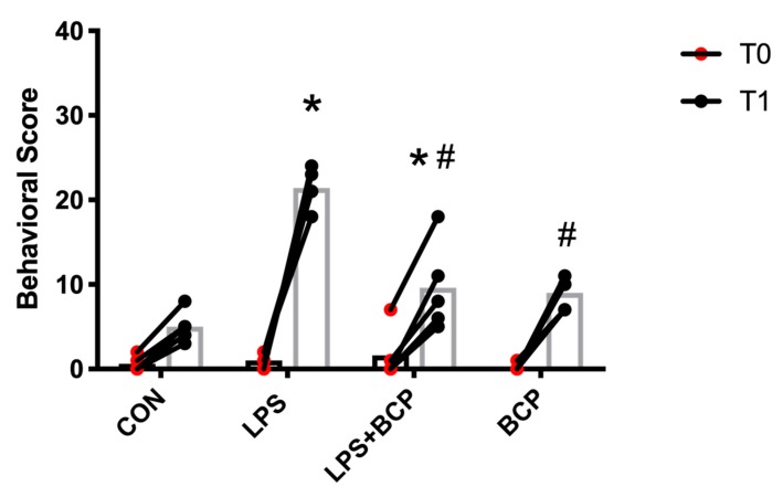 Composite score of behavioral results of female BALB/c mice before cystitis induction (T0) and after treatment (T1) for the following experimental groups: control (CON; n = 5), LPS-induced IC (LPS; n = 5), LPS-induced IC treated with BCP (100 mg/kg, LPS + BCP; n = 5), and BCP administered to healthy animals (100 mg/kg, BCP; n = 5). All groups were pretreated with olive oil gavage, with the treatment groups receiving BCP dissolved in olive oil. Saline and LPS were administered via intravesical instillation. Data presented as mean composite score ± SD. Individual data points are also shown. * p < 0.05 vs. Control, # p < 0.05 vs. LPS.